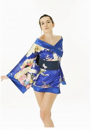 Intimate Lingerie Blue Satin Kimono Sexy Costume